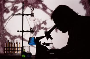 急性毒性试验 急性毒性试验