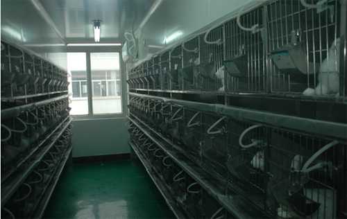 beats365实验动物房