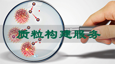 质粒构建服务 质粒构建服务