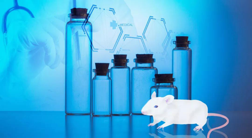 beats365-您理想的DMPK研究伙伴