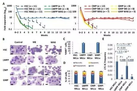 Science子刊：一种FDA批准的抗腹泻药物可有效对抗化疗的耐药性 beats365生物医药