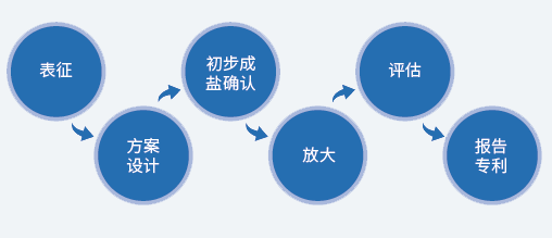 盐型筛选的流程.png 盐型筛选的流程.png