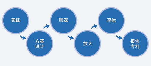 多晶型筛选流程.png 多晶型筛选流程.png