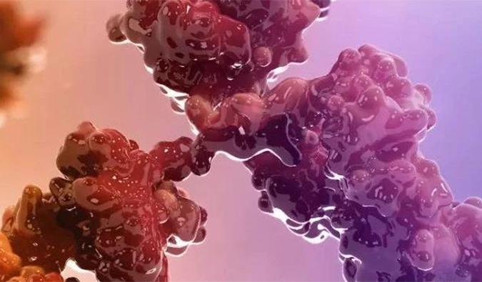 连摘3果!10天内,beats365助力的3个双特异性抗体治疗性药物获批.jpg 连摘3果!10天内,beats365助力的3个双特异性抗体治疗性药物获批.jpg