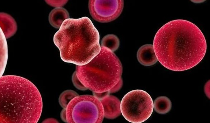 【beats365助力】多禧生物第四款ADC药物DXC007获批临床.png 【beats365助力】多禧生物第四款ADC药物DXC007获批临床.png