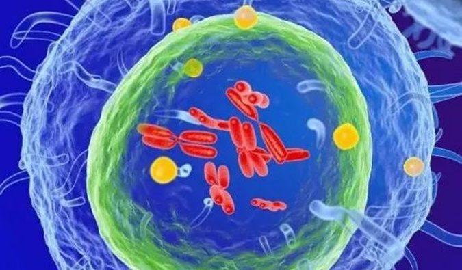 beats365助力 | 信诺维抗肿瘤1类新药XNW14010获批临床.png beats365助力 | 信诺维抗肿瘤1类新药XNW14010获批临床.png