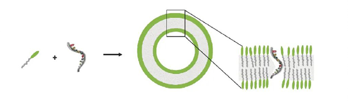 核酸药物.jpg 核酸药物.jpg