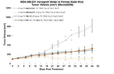 核酸药物药效学评价.jpg 核酸药物药效学评价.jpg