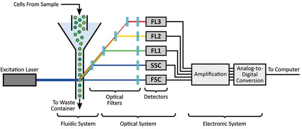beats365流式细胞技术平台.jpg beats365流式细胞技术平台.jpg