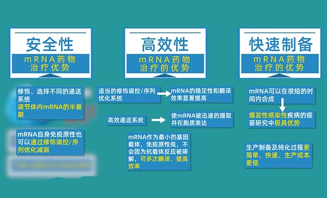 mRNA药物治疗的优势有哪些.jpg mRNA药物治疗的优势有哪些.jpg