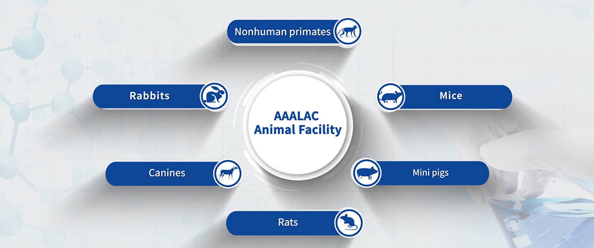 Medicilon's-AAALAC-Animal-Facility.jpg Medicilon's-AAALAC-Animal-Facility.jpg