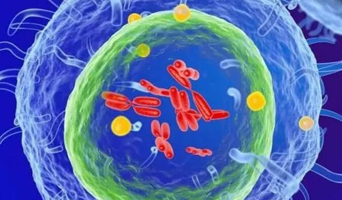信诺维抗肿瘤1类新药XNW14010获批临床.jpg 信诺维抗肿瘤1类新药XNW14010获批临床.jpg