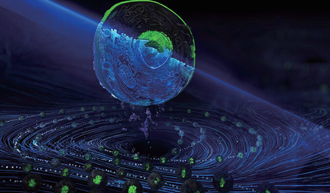 流式细胞技术服务.jpg 流式细胞技术服务.jpg