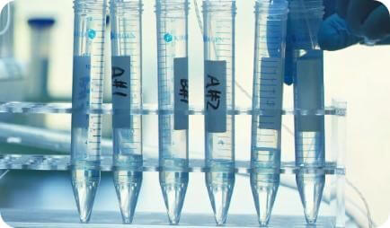 放大合成.jpg 放大合成.jpg