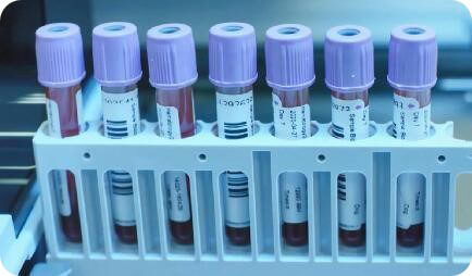 体外生物学.jpg 体外生物学.jpg