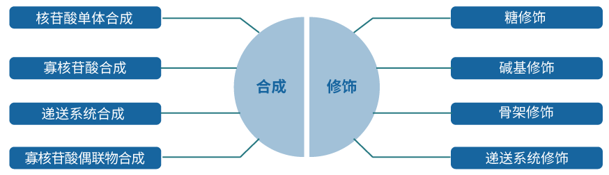 核酸药物合成&修饰.jpg 核酸药物合成&修饰.jpg