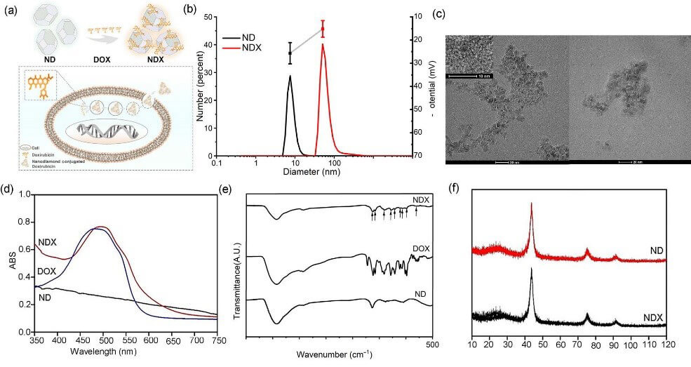 Characterization-of-ND,-DOX-and-NDX-complex.jpg Characterization-of-ND,-DOX-and-NDX-complex.jpg