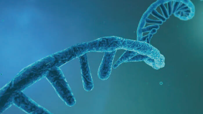 核酸药物.jpg 核酸药物.jpg