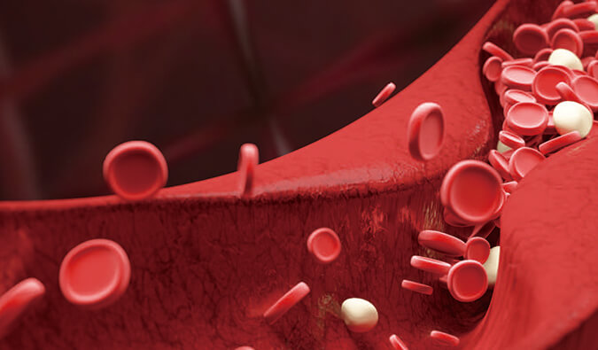 beats365脑血管疾病临床前药效评价服务平台.jpg beats365脑血管疾病临床前药效评价服务平台.jpg