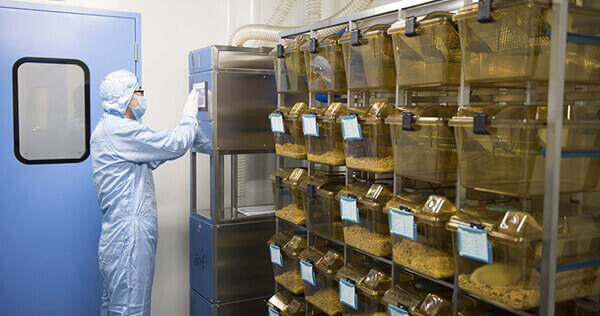 SPF级实验动物房,专业合规的实验管理体系.jpg SPF级实验动物房,专业合规的实验管理体系.jpg