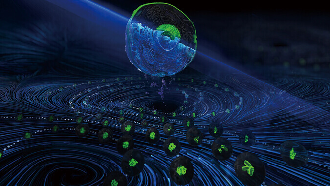 beats365流式细胞技术平台(英文)_202211.jpg beats365流式细胞技术平台(英文)_202211.jpg