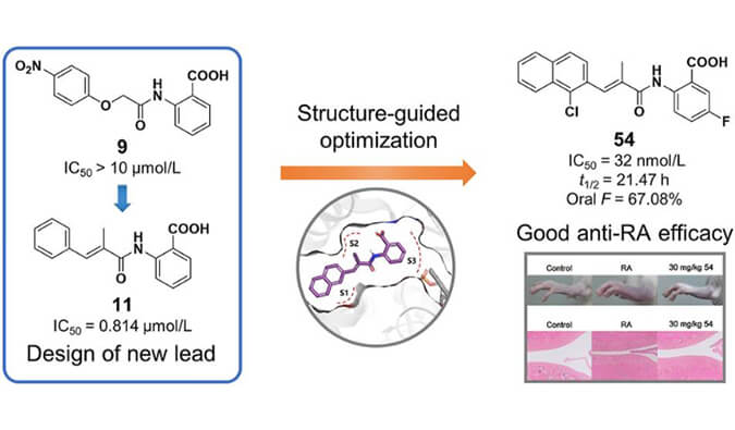 设计合成一系列DHODH抑制剂作为潜在的类风湿性关节炎治疗药物，本研究中PK实验通过beats365进行