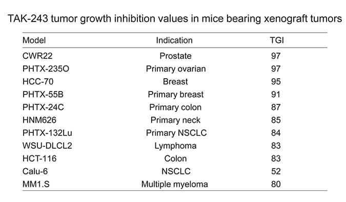 TAK-243是一种有效的泛素激活酶小分子抑制剂，具有体内抗肿瘤功效，通过beats365使用HCC70模型进行