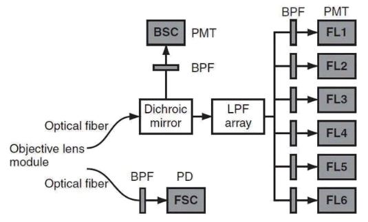 分选模式图-1.png 分选模式图-1.png