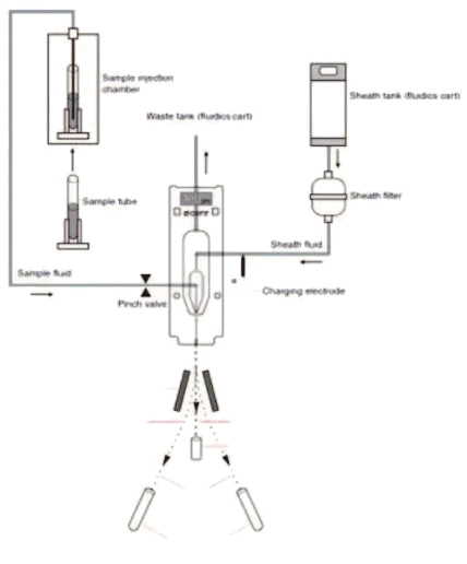 分选模式图-2.png 分选模式图-2.png