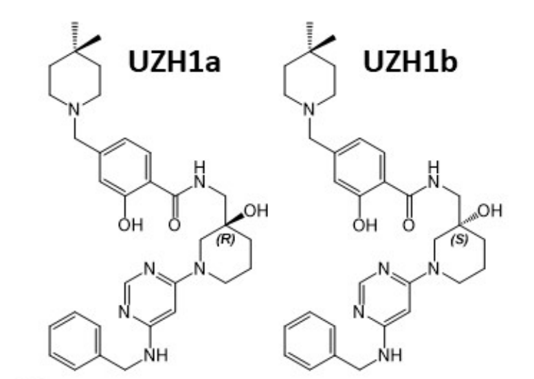 研究人员报告了一种具有细胞渗透性的选择性METTL3纳摩尔抑制剂UZH1a，作者感谢beats365合成了UZH1a和UZH1b