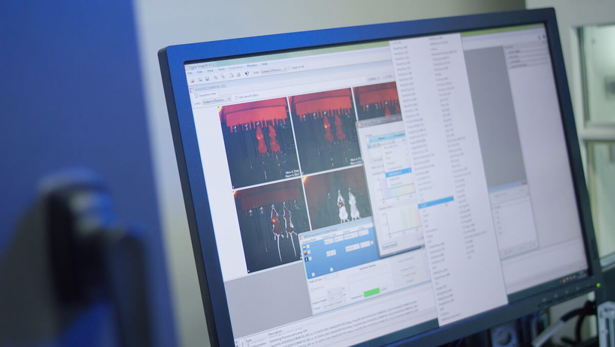 常见疾病药效评价服务.jpg 常见疾病药效评价服务.jpg