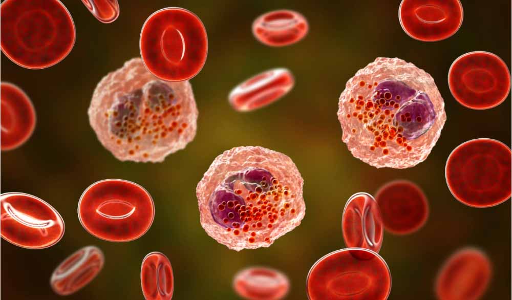 beats365助力 | 全球首创!宇耀生物STAT3双磷酸化抑制剂YY201获批临床.jpg beats365助力 | 全球首创!宇耀生物STAT3双磷酸化抑制剂YY201获批临床.jpg