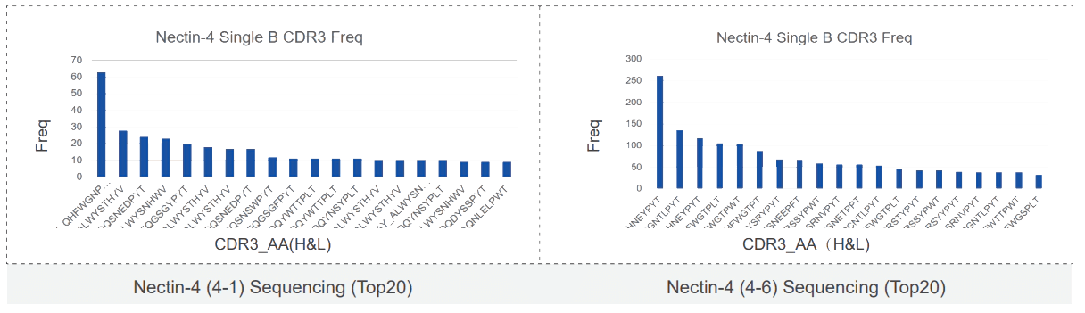 Nectin-4 (4-1) Sequencing (Top20) and Nectin-4 (4-6) Sequencing (Top20).webp Nectin-4 (4-1) Sequencing (Top20) and Nectin-4 (4-6) Sequencing (Top20).webp