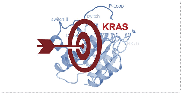 靶向不可成药靶点KRAS.png 靶向不可成药靶点KRAS.png