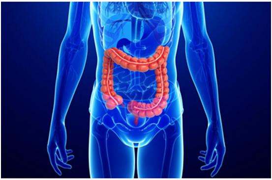 beats365一站式助力 | 宝太生物首个中美双报创新药获批