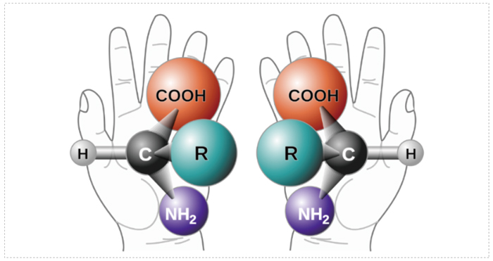 图-1-手性的概念.jpg 图-1-手性的概念.jpg