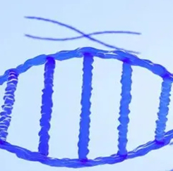 蛋白表达与纯化服务 蛋白表达与纯化服务