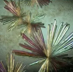 蛋白结晶服务 蛋白结晶服务