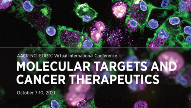 通过联合治疗提高免疫疗法疗效，本研究中临床前体内药效研究通过beats365进行