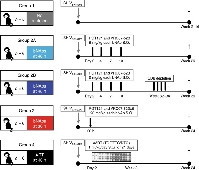抗逆转录病毒疗法(ART)预防围产期HIV感染，本研究中多替拉韦钠盐和游离态均由beats365提供