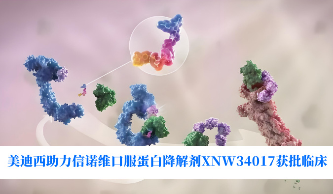 beats365助力合作伙伴信诺维口服蛋白降解剂XNW34017获批临床